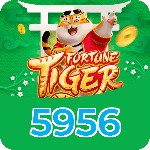 Termos e condições